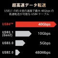 USB4ケーブル タイプC Type-C-TypeC 認証品 0.8m 認証品 40Gbps 充電 データ転送 高速 USB PD 対応 RoHS指令準拠 ( 10物質 ) ブラック 写真4