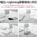 ライトニングケーブル Type-C-Lightning 1m シルバー 写真4