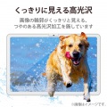 Google Pixel Tablet フィルム ブルーライトカット 高透明 写真4