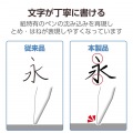 13インチiPad Pro(M4) フィルム 紙心地 文字用 しっかりタイプ 写真4