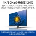 ハイスピードHDMI(R)ケーブル 写真4