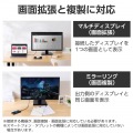 USB Type-C(TM) - DVI変換ケーブル 写真4