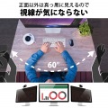 液晶保護フィルター/のぞき見防止/16Wインチ(16:10) 写真4