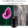 LUMIX S 24-105mm F4 MACRO O.I.S. 写真4