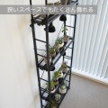 ビザールプランツラック スリム 植物 棚 観葉植物 植物棚 植物ラック ライト メタルラック スチールラック ビビラボ 写真4