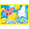サントリー 天然水スパークリング レモン 500ml ペットボトル 24本入り x 2ケース (計48本) 炭酸水 無糖 炭酸 ハイボール レモンサワー カロリーゼロ MWSE5 写真4