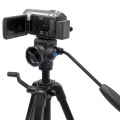 EX-447 VIDEO II 写真4