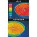 メタル丼フラワー 厚口 塗装仕様 赤 写真4