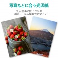 エコノミー光沢紙 写真4