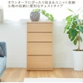 カウンター下収納 ラック 引出しタイプ 4段 木製ユニット収納 ナチュラルブラウン 幅45 奥行29.6 高さ84.9cm 白井産業 PTS-8545H NA ピタシエ 写真4