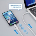 USB2.0 Type-Cケーブル(Lightning変換アダプタ付き・ホワイト) 写真4