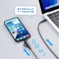USB2.0 Type-Cケーブル(Lightning変換アダプタ付き・ブラック) 写真4
