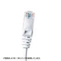 カテゴリ6UTPLANケーブル 写真4