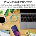 ライトニングケーブル Type-C-Lightning 1m グリーン 写真5