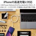 ライトニングケーブル Type-C-Lightning 1m シルバー 写真5