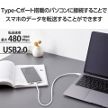 USB2.0ケーブル(C-C、100W対応) 写真5