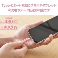 しろちゃんUSB Type-C(TM)ケーブル 写真5