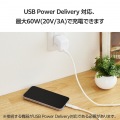 USB変換アダプター(USB Type-Cポート - Lightningプラグ) 写真5