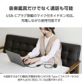 USB Type-C(TM)変換アダプター 2ポート/PD充電付き 写真5