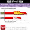 HDD SSDケース/2.5インチ/USB3.2 Gen2 Type-C/ブラック 写真5