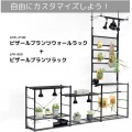 ビザールプランツウォールラック LPW-2100-BK 植物育成ライト サーキュレーター 取り付け可能 ビカクウォール ビカクシダ ツッパリ 植物棚 観葉植物 ラック 写真5
