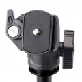 POLE POD EX BALLHEAD 写真5