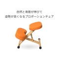 プロポーションチェア 替カバー CV-8W ローズ 宮武製作所 | 手洗い 写真5