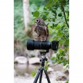 150-500mm F/5-6.7 Di III VC VXD A057 フジX 写真5