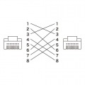 RJ-45クロス変換キット(カテゴリ6A) 写真5