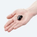 ヘッドセット Bluetooth ワイヤレスイヤホン 小型 連続通話最大5時間 USB Type-C端子 片耳 ブラック 写真6