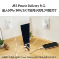 2in1ケーブル(USB Type-C - USB Type-C/Lightning変換/MFi認証) 写真6