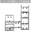 ビザールプランツラック スリム 植物 棚 観葉植物 植物棚 植物ラック ライト メタルラック スチールラック ビビラボ 写真6