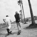 スケートボード シリーズ 初心者 大人向け skateboard スケボー Abec7/9 オイルベアリング採用 7.25?8.8インチ DSB-01 写真6