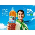 サントリー GREEN DA・KA・RA やさしい麦茶 680ml ペットボトル 24本入り 1ケース カフェインゼロ アレルギー特定原材料等28品目不使用 FDM7K 写真6