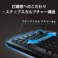 2.4GHzワイヤレスプレミアムメンブレンキーボード 写真6
