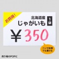 カラーレーザー用 耐水紙・中厚 写真6