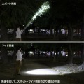 ペン型ライト(ロングタイプ) 写真6