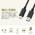 USB3.1Gen2TypeC-Aケーブル 写真6