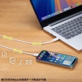 USB 2.0 Type-Cケーブル(PD60W・2m・ホワイト) 写真6