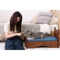 L2 ペットベッド PET-69BR 写真6