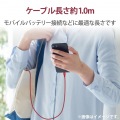 Lightningケーブル/準高耐久/アルミコネクタ/1.0m/レッド 写真7
