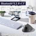Bluetooth5.0トラックボール ”IST”5ボタン 人工ルビーモデル 写真7