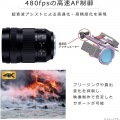 LUMIX S 24-105mm F4 MACRO O.I.S. 写真7