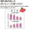 関孫六 ダイヤモンド&セラミックシャープナー 片刃用 AP-0162 写真7