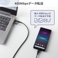 USB2.0Type-Cケーブル(CtoA変換アダプタ付き・PD60W・ブラック) 写真7
