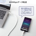 USB2.0Type-Cケーブル(CtoA変換アダプタ付き・PD60W・ホワイト) 写真7