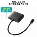 USB Type C-HDMI変換アダプタ(2ポート/4K/PD対応) 写真7