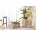 フェイクグリーン アガベ 写真7