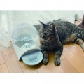 自動給水器 猫 犬 ペット 2.8L MCP-11 | 自動 給水器 水飲み器 電気不要 水洗い 写真8