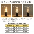 ポストジェネラル 置く 吊るす くっつける MIKAN 3WAY LEDランタン WOOD 写真8